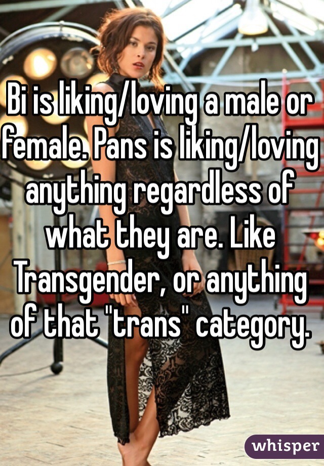 Bi is liking/loving a male or female. Pans is liking/loving anything regardless of what they are. Like Transgender, or anything of that "trans" category. 