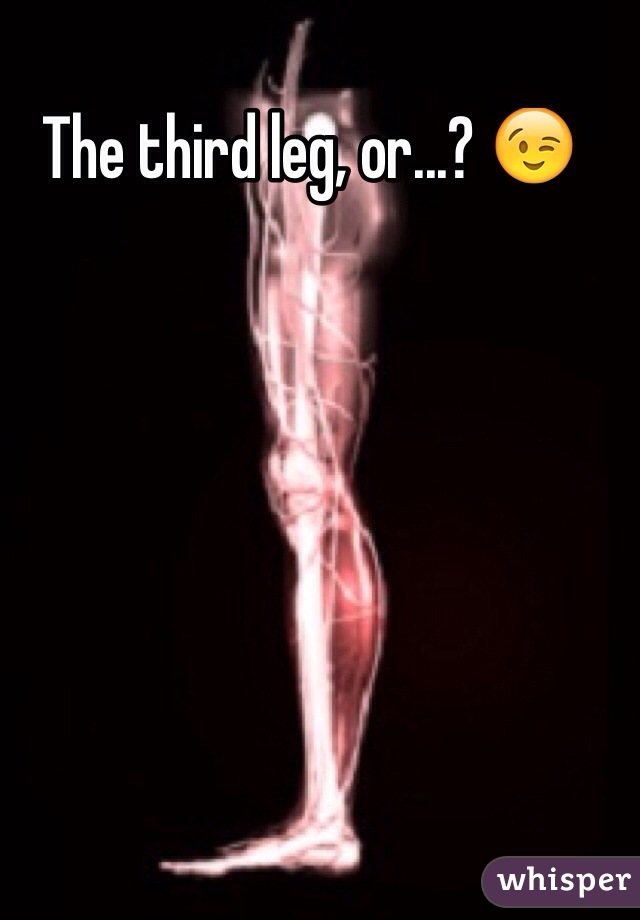 The third leg, or...? 😉