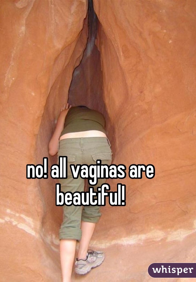 no! all vaginas are beautiful!