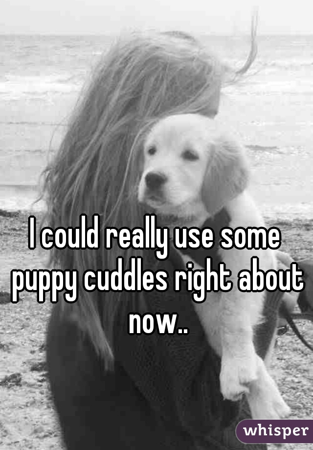 I could really use some puppy cuddles right about now..