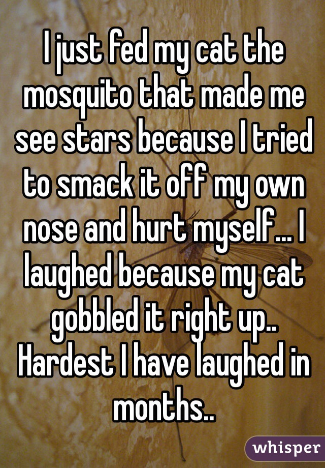 I just fed my cat the mosquito that made me see stars because I tried to smack it off my own nose and hurt myself... I laughed because my cat gobbled it right up.. Hardest I have laughed in months.. 