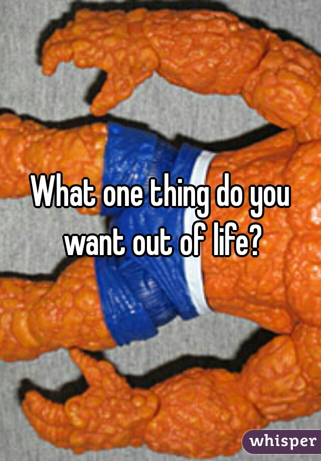 What one thing do you want out of life?