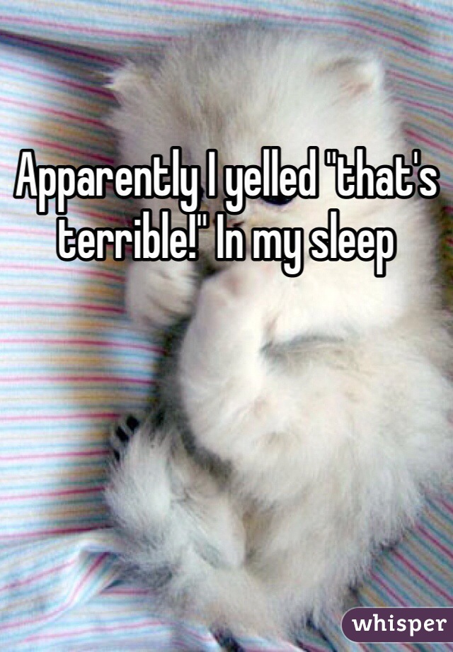 Apparently I yelled "that's terrible!" In my sleep