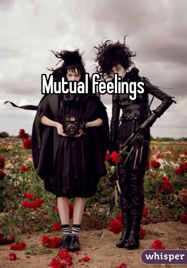 Mutual feelings