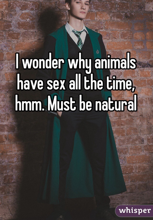 I wonder why animals have sex all the time, hmm. Must be natural