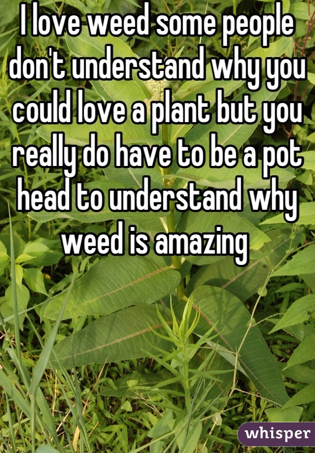 I love weed some people don't understand why you could love a plant but you really do have to be a pot head to understand why weed is amazing 