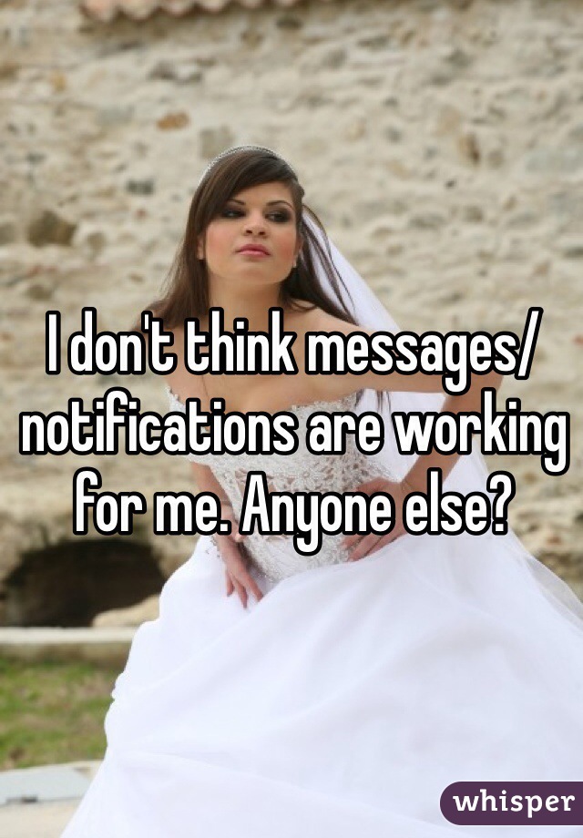 I don't think messages/notifications are working for me. Anyone else?