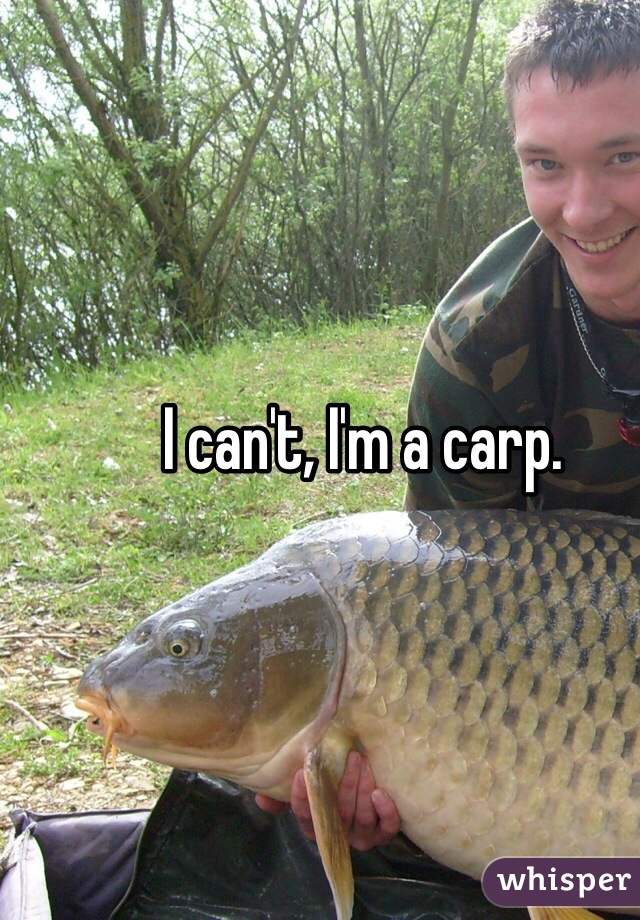 I can't, I'm a carp. 