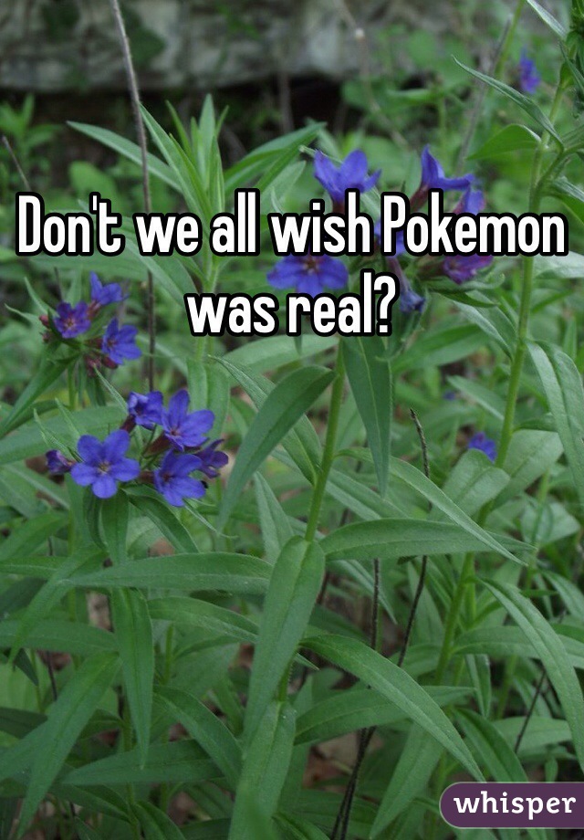 Don't we all wish Pokemon was real?