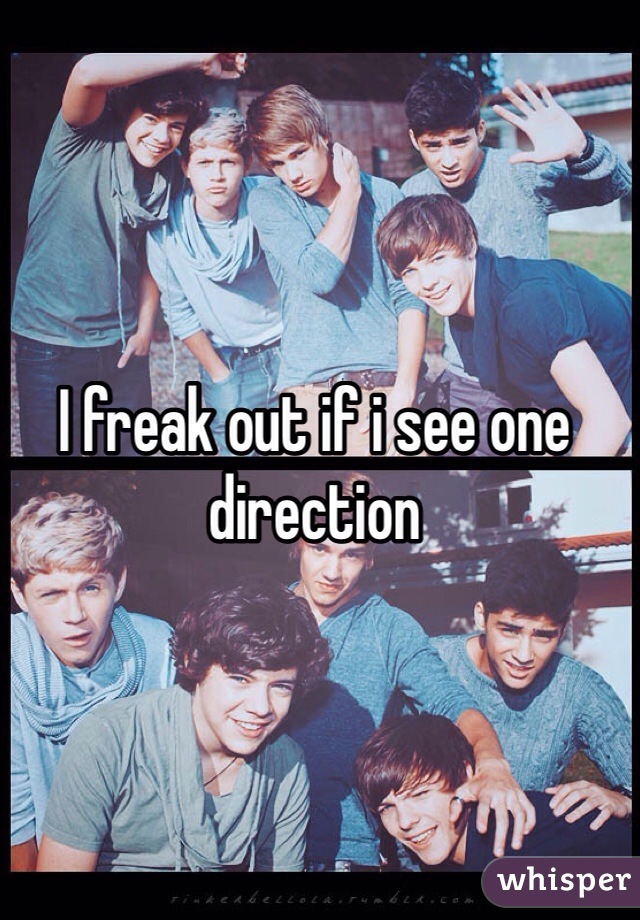 I freak out if i see one direction