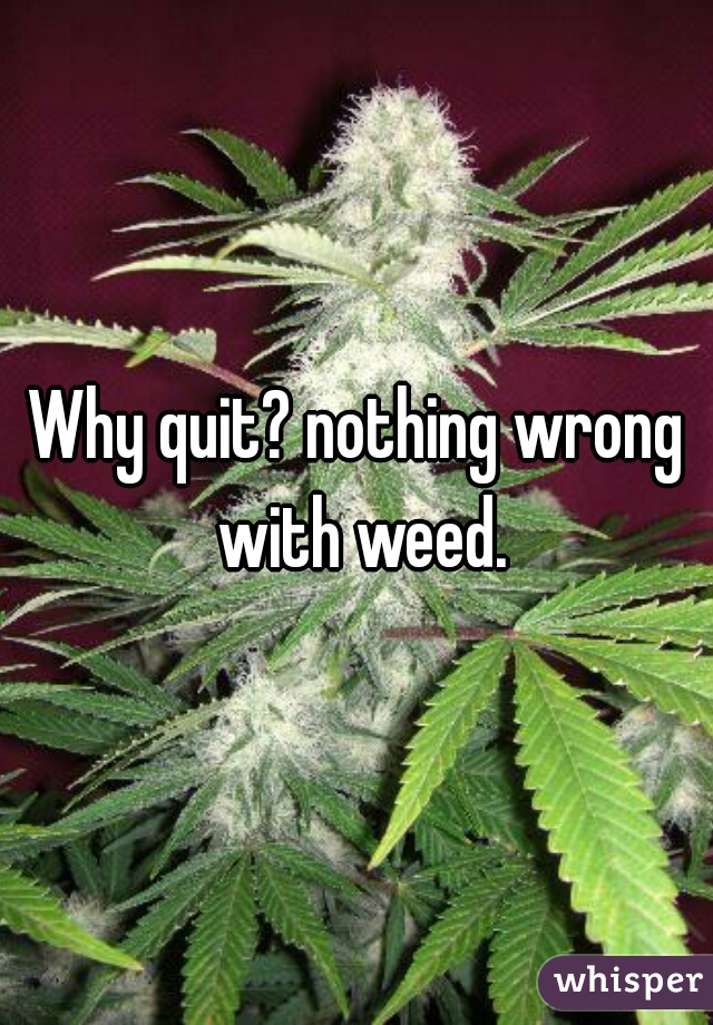 Why quit? nothing wrong with weed.