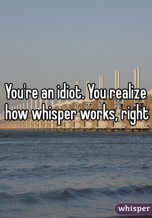 You're an idiot. You realize how whisper works, right?