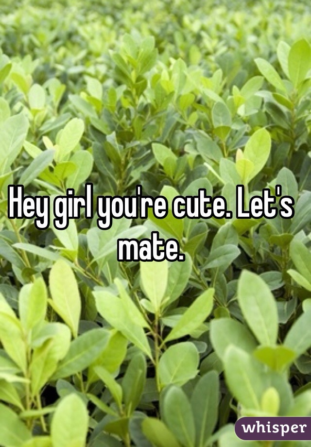 Hey girl you're cute. Let's mate. 