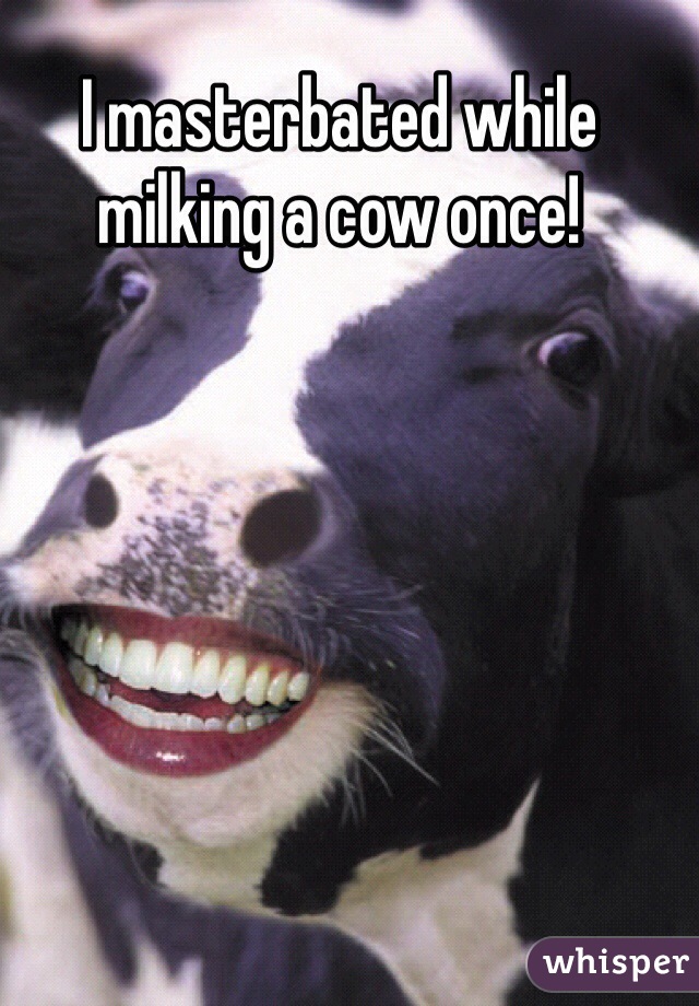 I masterbated while milking a cow once!