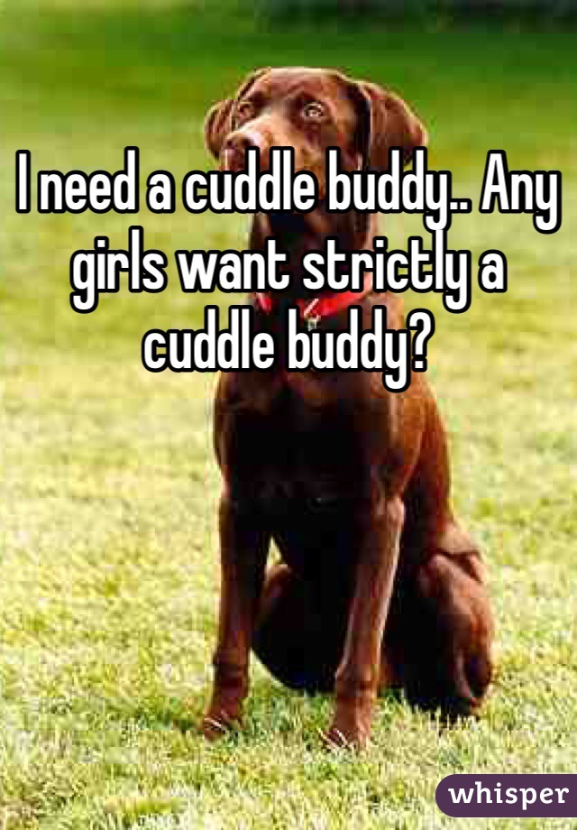 I need a cuddle buddy.. Any girls want strictly a cuddle buddy?