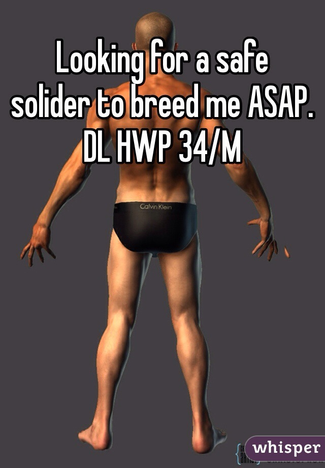 Looking for a safe 
solider to breed me ASAP. 
DL HWP 34/M