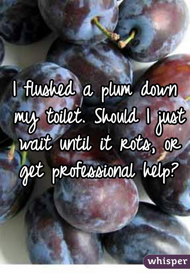 I flushed a plum down my toilet. Should I just wait until it rots, or get professional help?