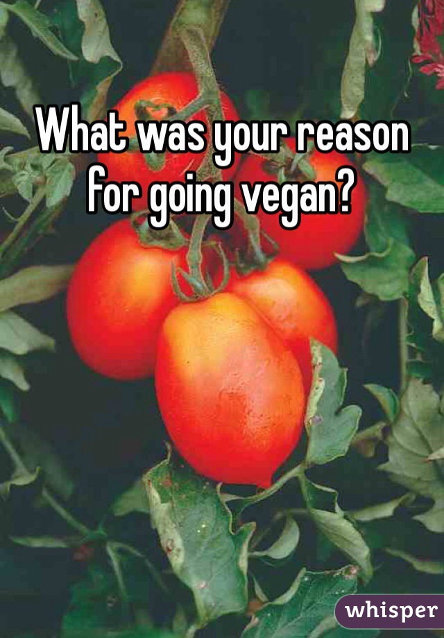 What was your reason for going vegan?
