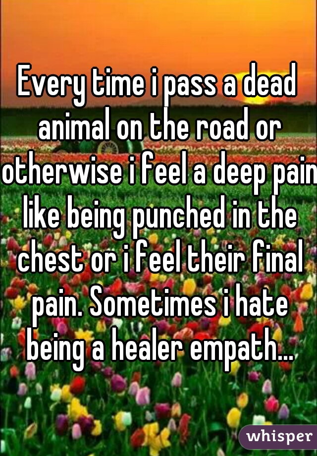 Every time i pass a dead animal on the road or otherwise i feel a deep pain like being punched in the chest or i feel their final pain. Sometimes i hate being a healer empath...