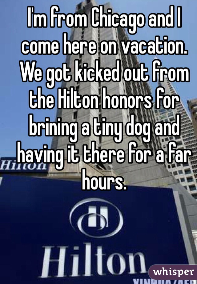 I'm from Chicago and I come here on vacation. We got kicked out from the Hilton honors for brining a tiny dog and having it there for a far hours.