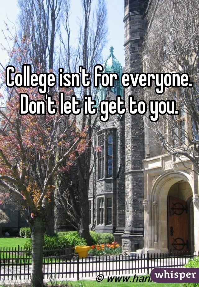 College isn't for everyone. Don't let it get to you. 