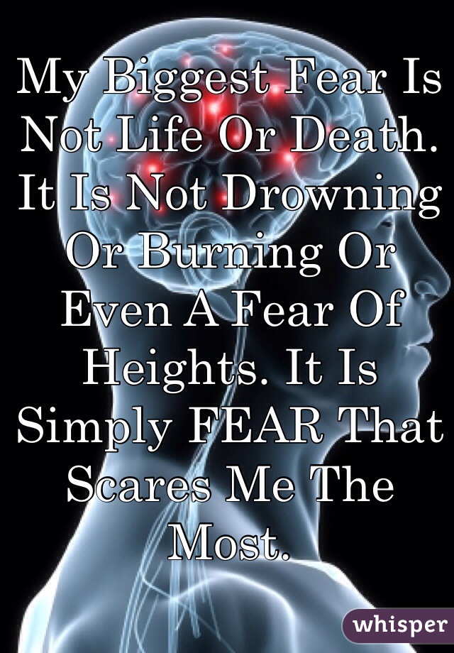 My Biggest Fear Is Not Life Or Death. It Is Not Drowning Or Burning Or Even A Fear Of Heights. It Is Simply FEAR That Scares Me The Most.