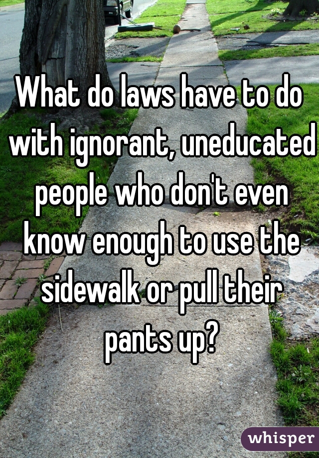 What do laws have to do with ignorant, uneducated people who don't even know enough to use the sidewalk or pull their pants up?