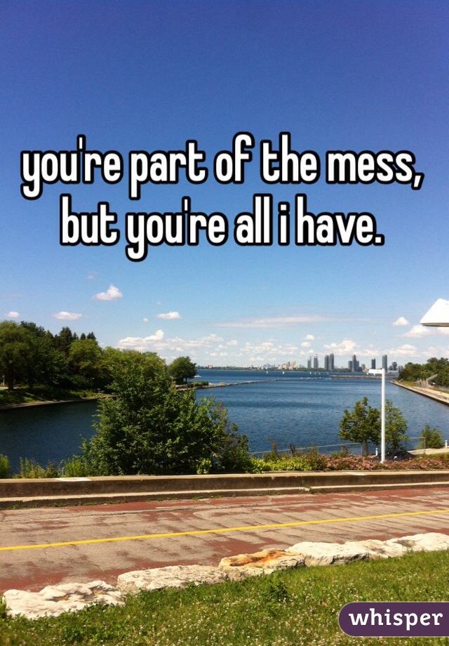 you're part of the mess, but you're all i have. 