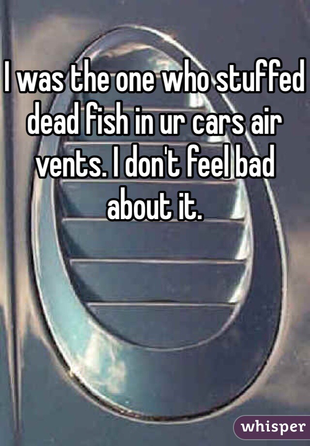 I was the one who stuffed dead fish in ur cars air vents. I don't feel bad about it.