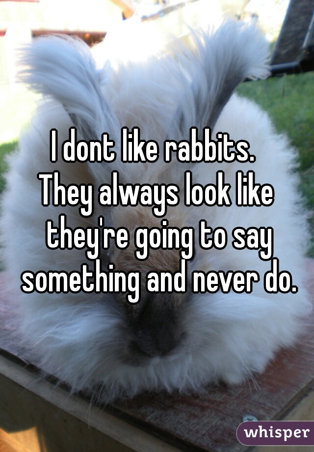 I dont like rabbits. 
They always look like they're going to say something and never do.