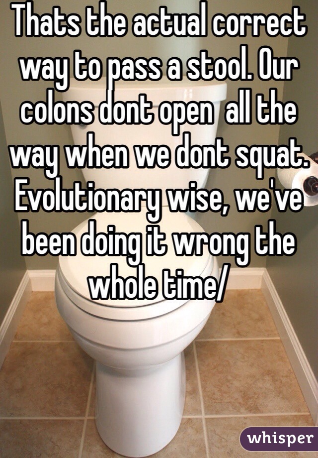 Thats the actual correct way to pass a stool. Our colons dont open  all the way when we dont squat. Evolutionary wise, we've been doing it wrong the whole time/ 