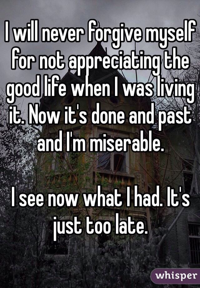 I will never forgive myself for not appreciating the good life when I was living it. Now it's done and past and I'm miserable.

I see now what I had. It's just too late.