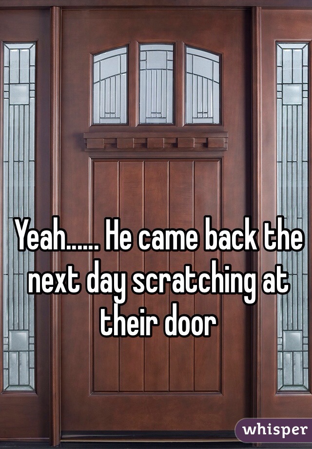 Yeah...... He came back the next day scratching at their door