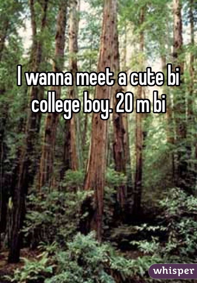 I wanna meet a cute bi college boy. 20 m bi