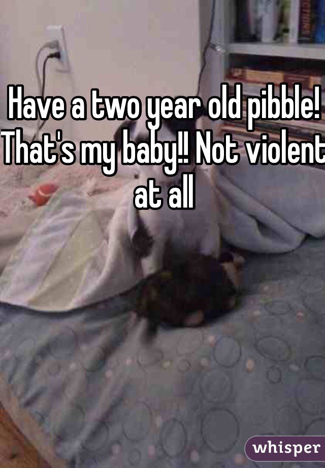 Have a two year old pibble! That's my baby!! Not violent at all