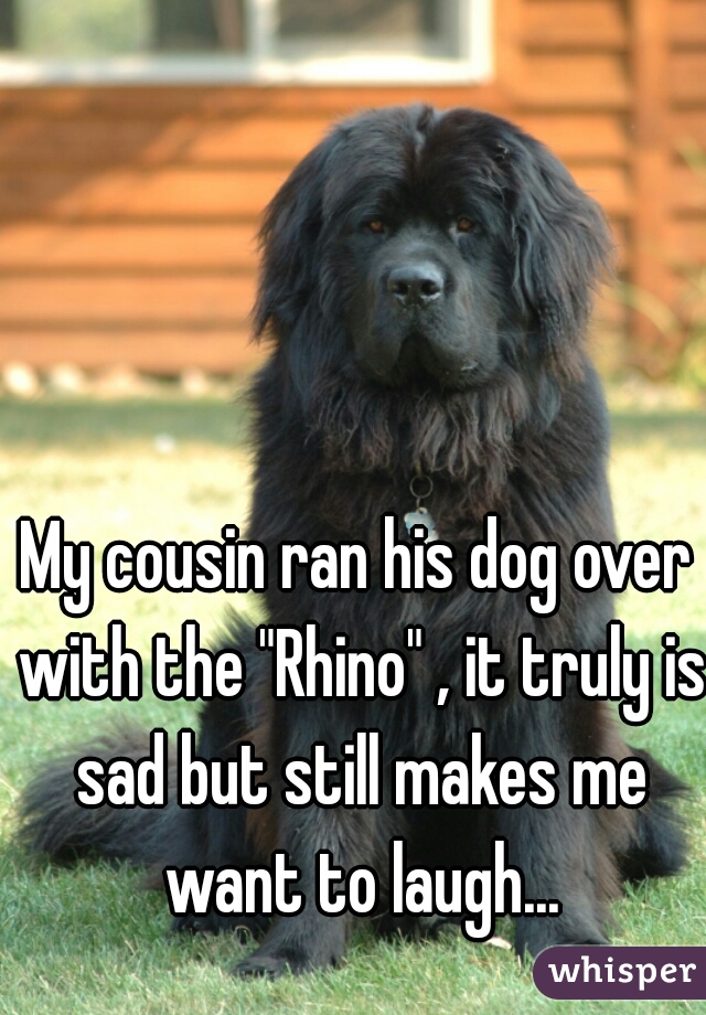 My cousin ran his dog over with the "Rhino" , it truly is sad but still makes me want to laugh...