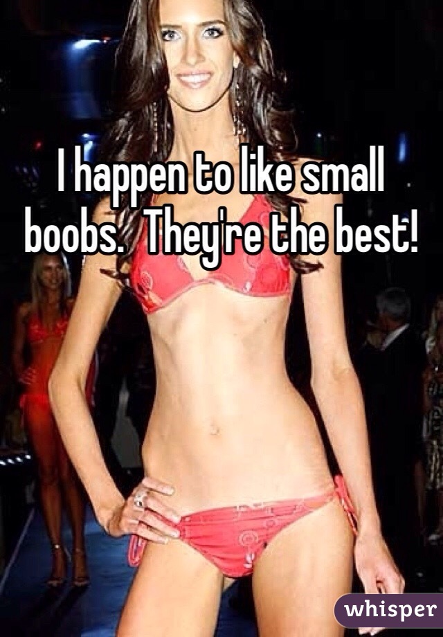 I happen to like small boobs.  They're the best! 