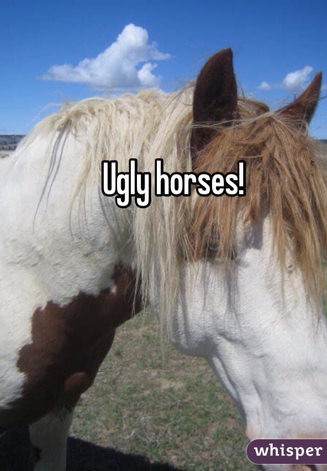 Ugly horses!
