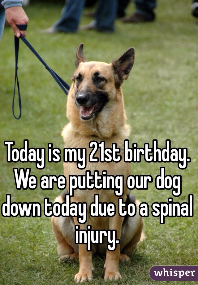 Today is my 21st birthday. We are putting our dog down today due to a spinal injury. 