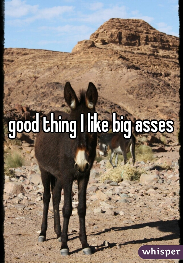 good thing I like big asses