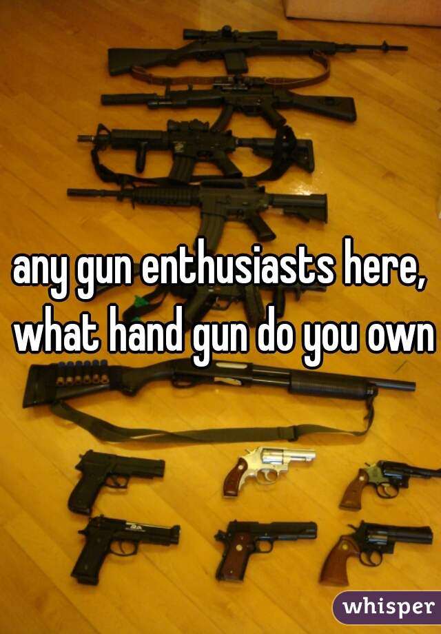 any gun enthusiasts here, what hand gun do you own?