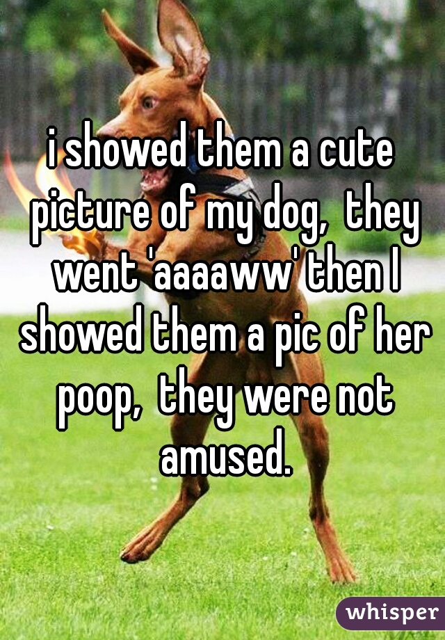 i showed them a cute picture of my dog,  they went 'aaaaww' then I showed them a pic of her poop,  they were not amused.