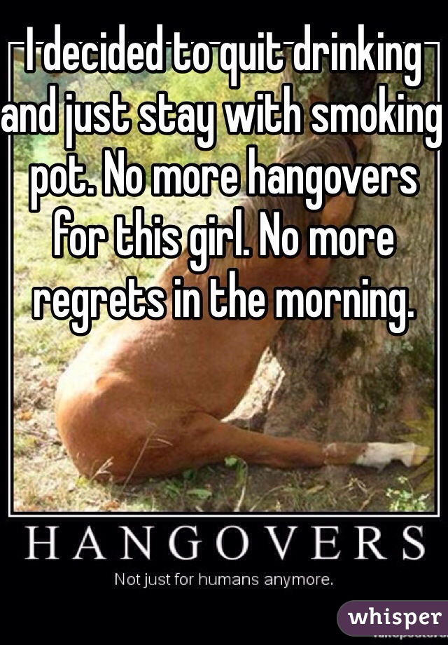 I decided to quit drinking and just stay with smoking pot. No more hangovers for this girl. No more regrets in the morning.