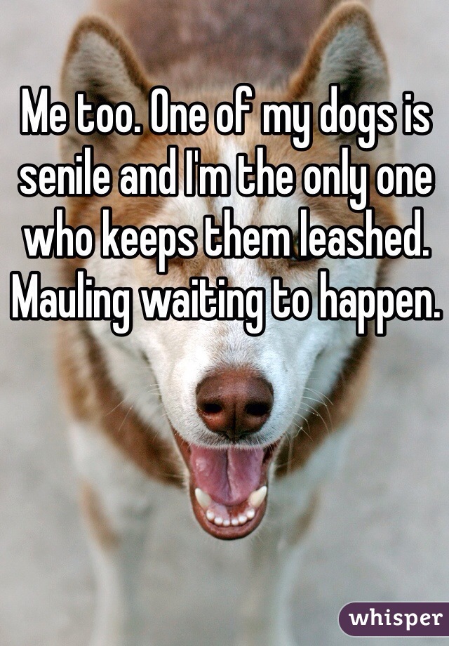 Me too. One of my dogs is senile and I'm the only one who keeps them leashed. Mauling waiting to happen. 