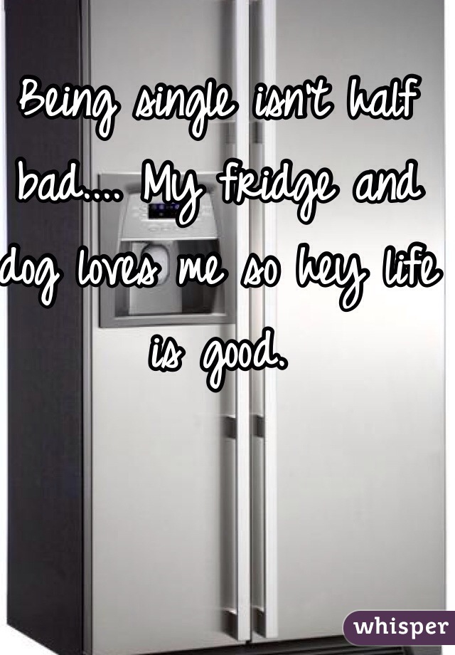 Being single isn't half bad.... My fridge and dog loves me so hey life is good. 