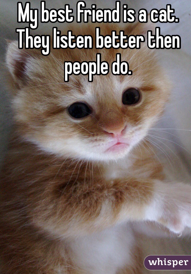 My best friend is a cat. They listen better then people do. 
