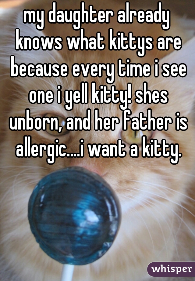 my daughter already knows what kittys are because every time i see one i yell kitty! shes unborn, and her father is allergic....i want a kitty.