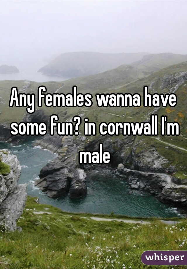 Any females wanna have some fun? in cornwall I'm male