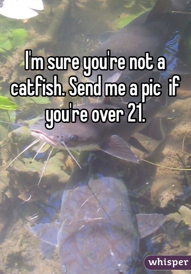 I'm sure you're not a catfish. Send me a pic  if you're over 21. 
