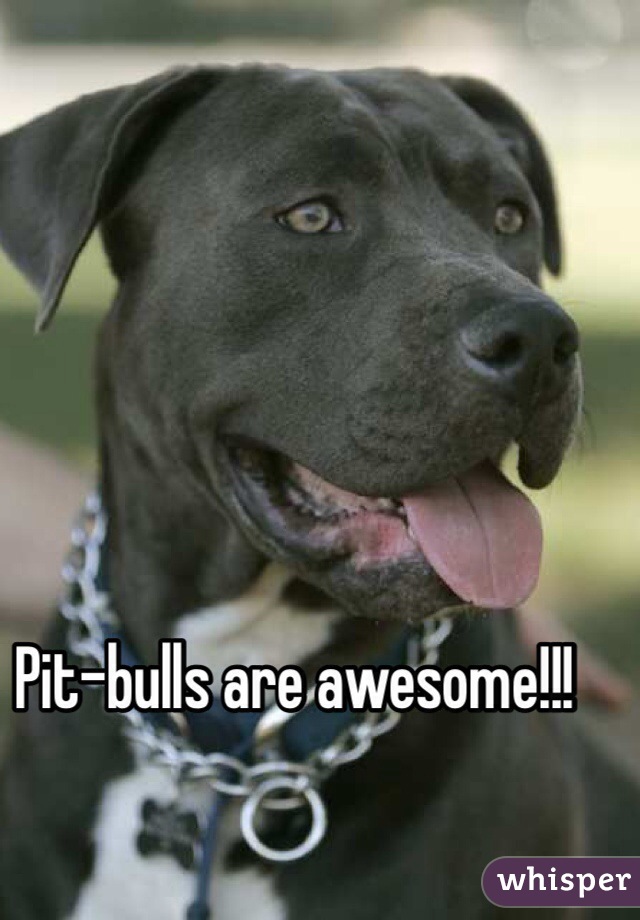Pit-bulls are awesome!!!